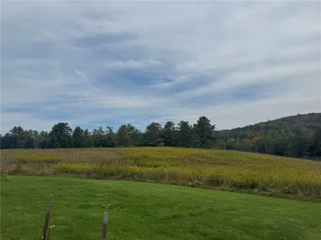 $245,000 | 146 Blower Road, Guilford, NY 13780