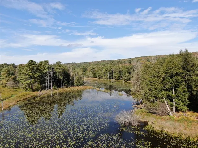 $245,000 | 146 Blower Road, Guilford, NY 13780