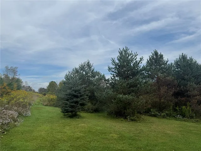 $245,000 | 146 Blower Road, Guilford, NY 13780