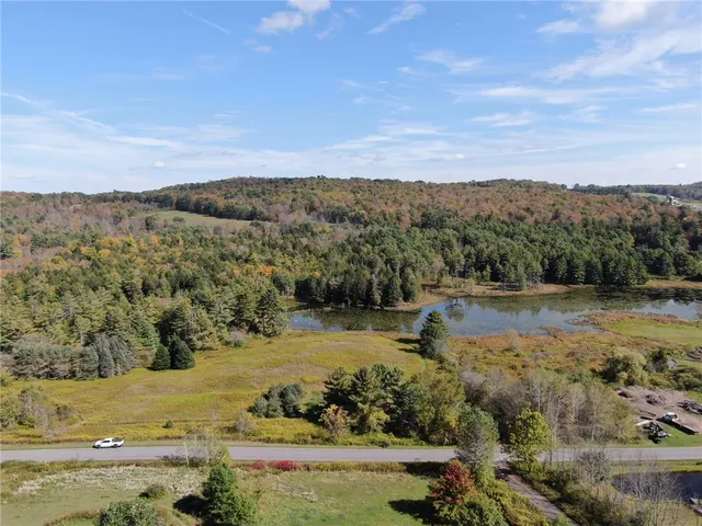 $245,000 | 146 Blower Road, Guilford, NY 13780