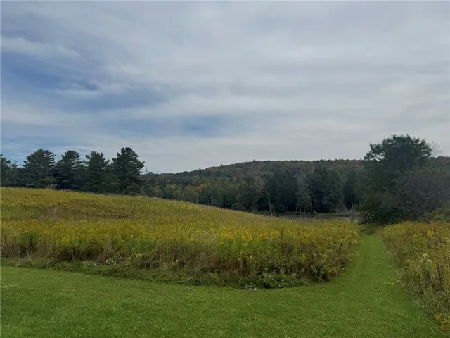 $245,000 | 146 Blower Road, Guilford, NY 13780