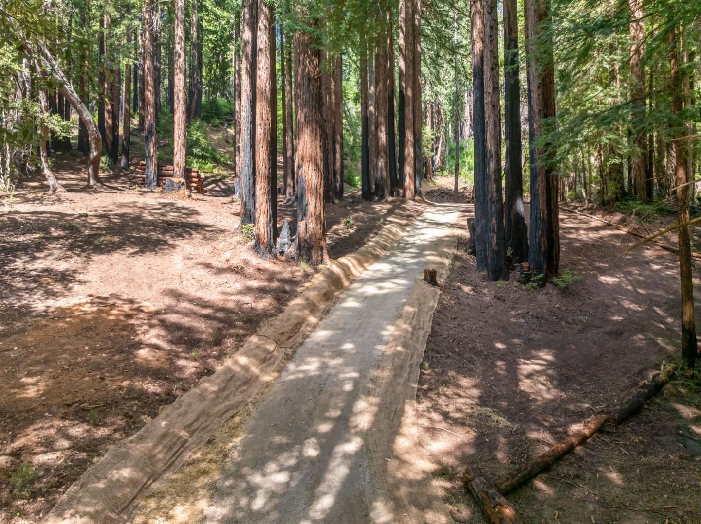 0 Band Road Boulder Creek, CA 95006 - Photo 11 of 46 a view of a trees with a backyard