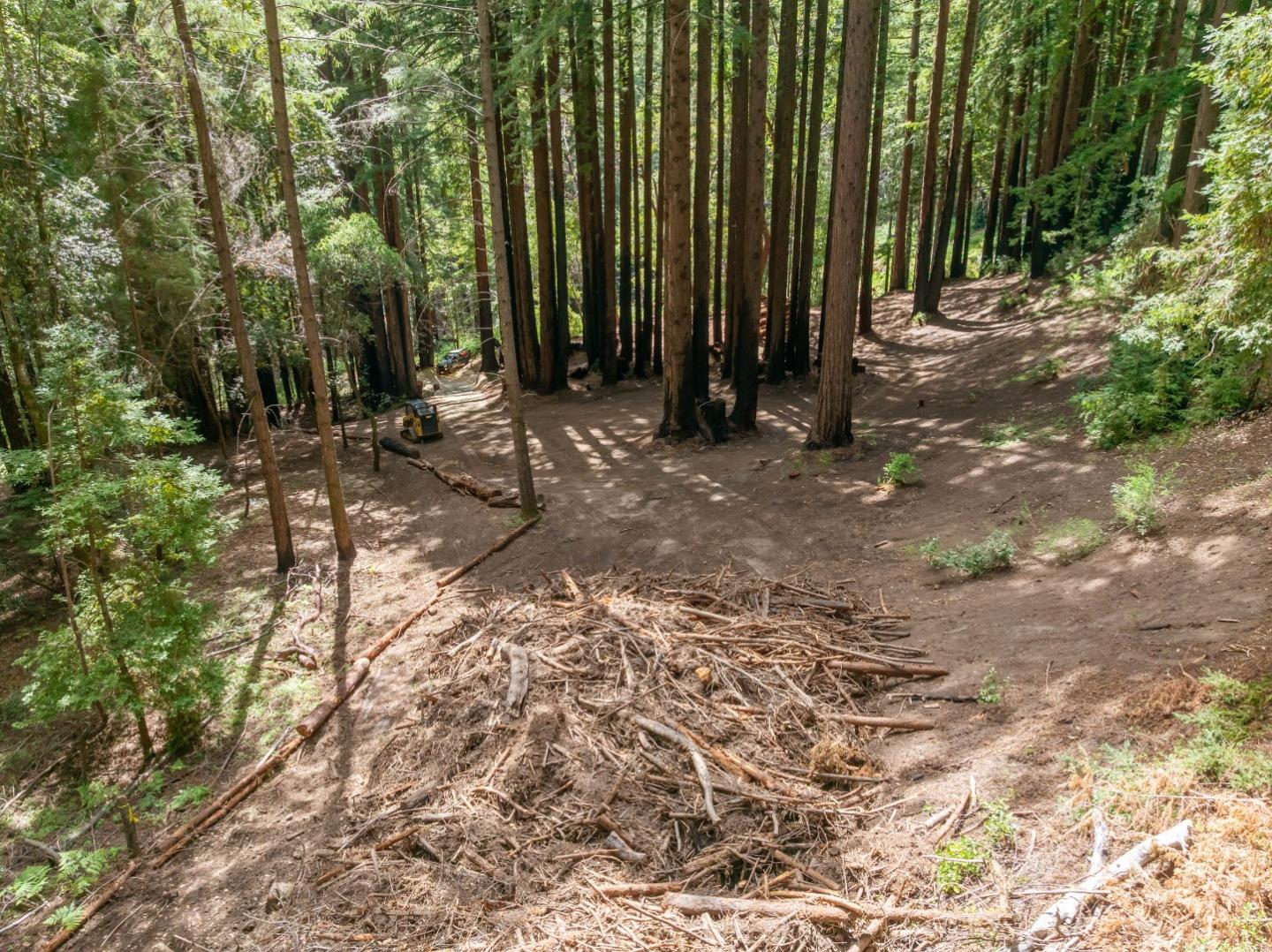 0 Band Road Boulder Creek, CA 95006 - Photo 20 of 46 a view of a backyard with trees