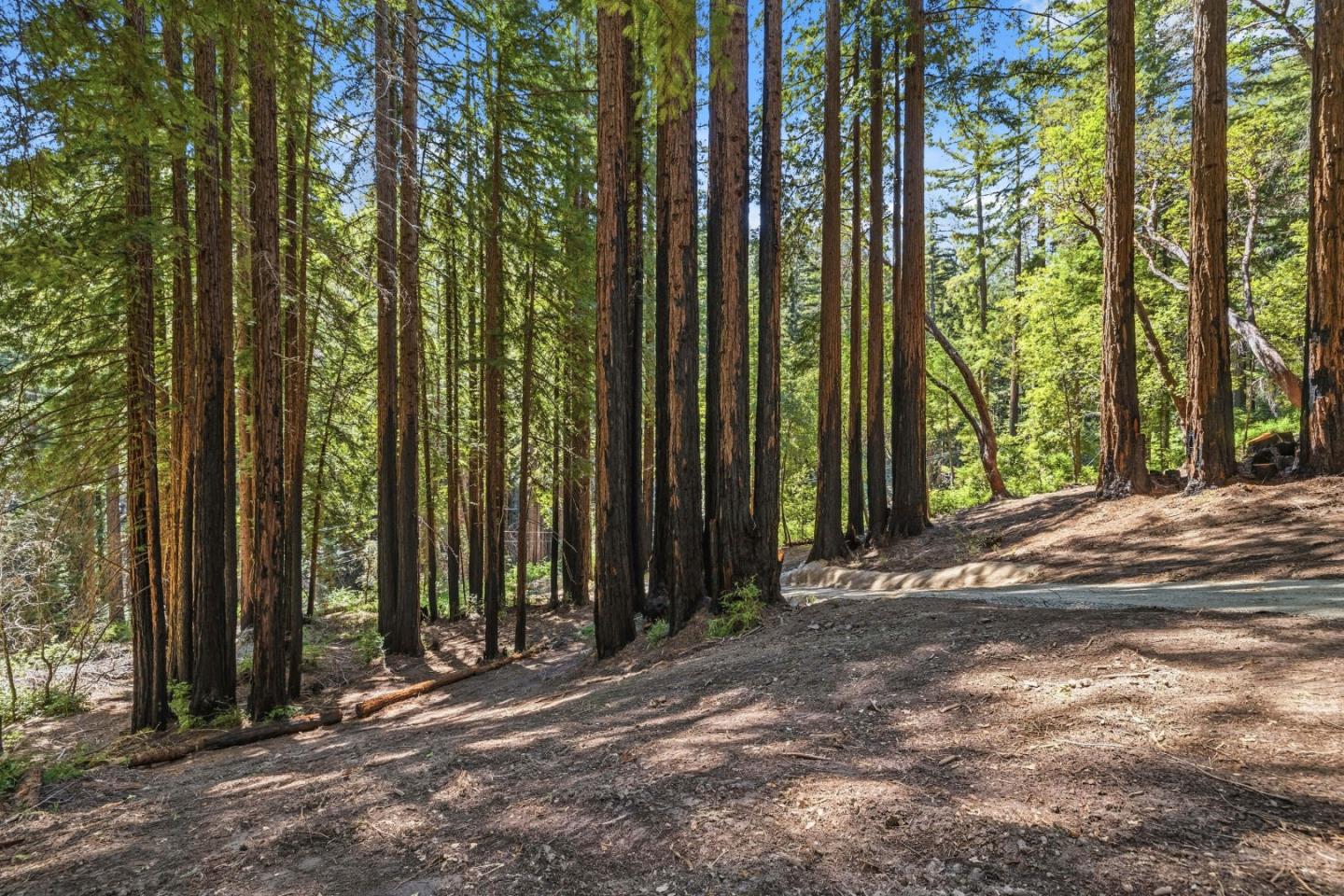 0 Band Road Boulder Creek, CA 95006 - Photo 21 of 46 a view of a house with backyard and trees