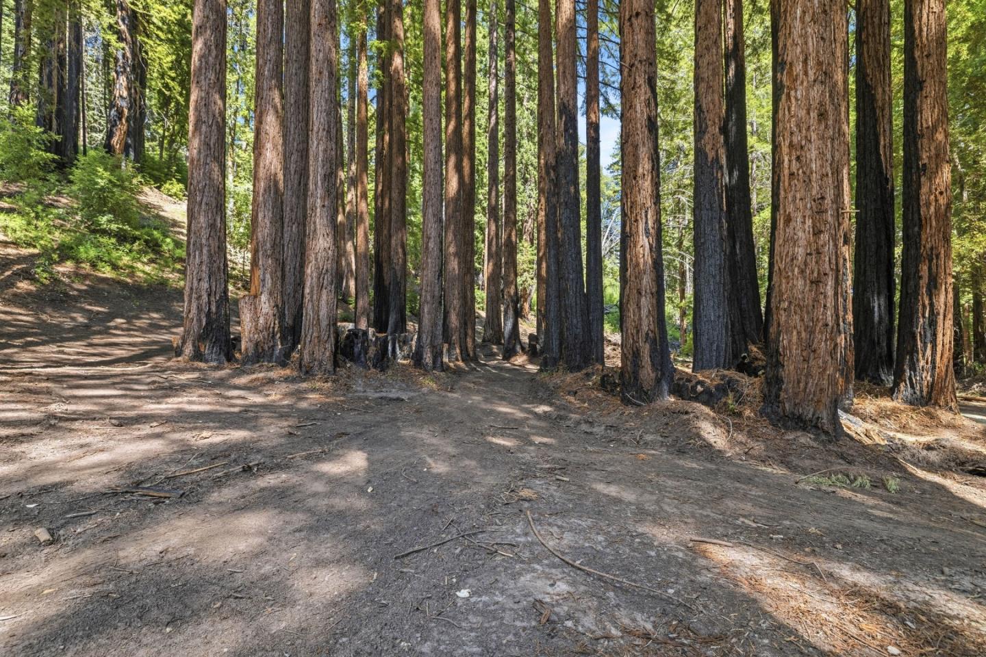 0 Band Road Boulder Creek, CA 95006 - Photo 22 of 46 a view of outdoor space with deck