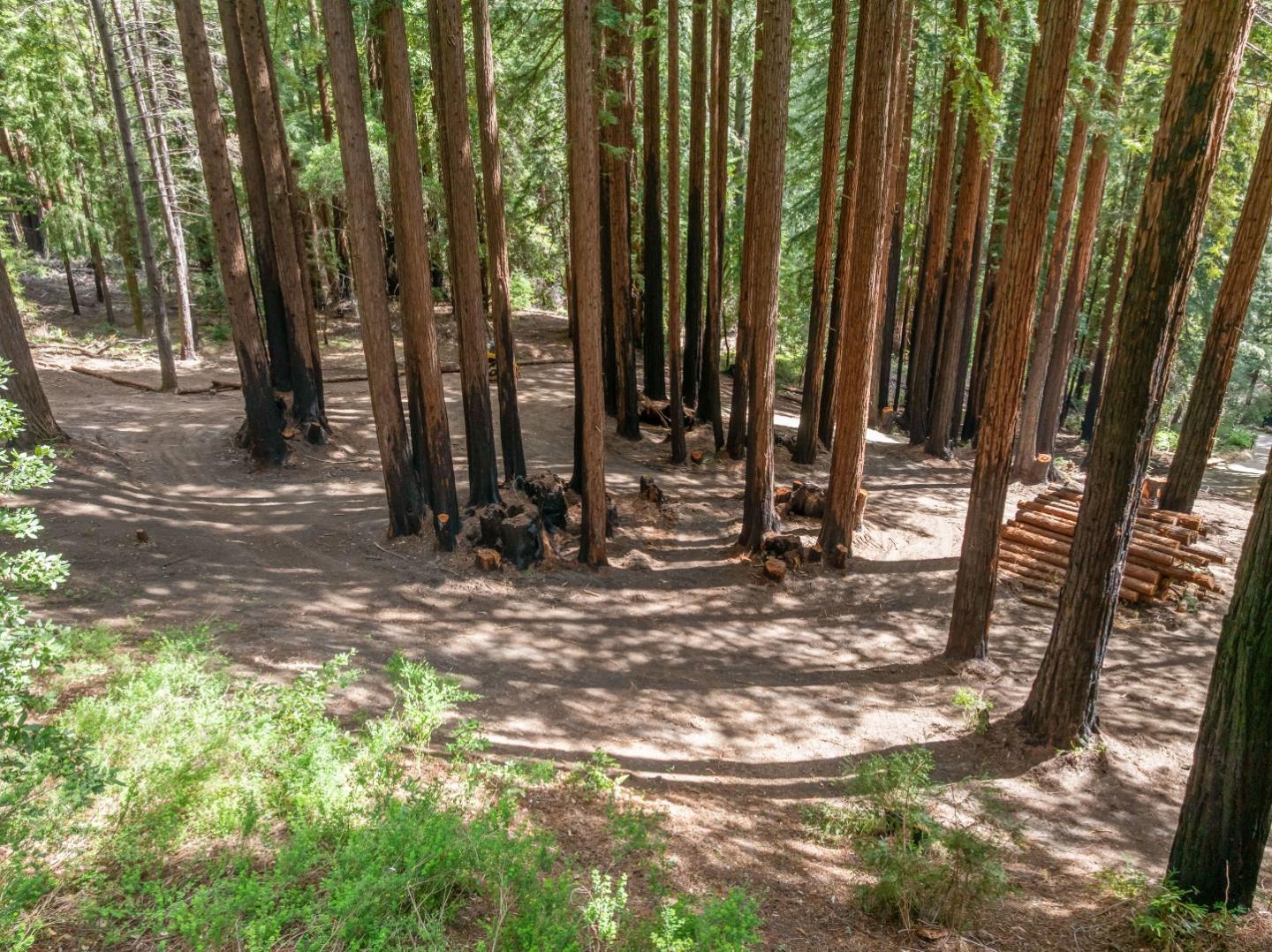 0 Band Road Boulder Creek, CA 95006 - Photo 25 of 46 a view of a backyard with trees