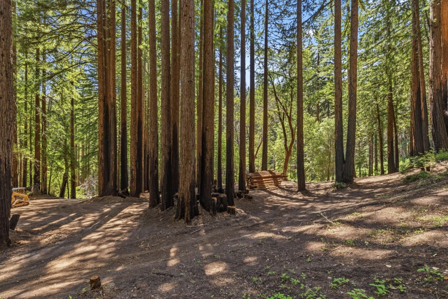 0 Band Road Boulder Creek, CA 95006 - Photo 26 of 46 a view of a backyard with trees