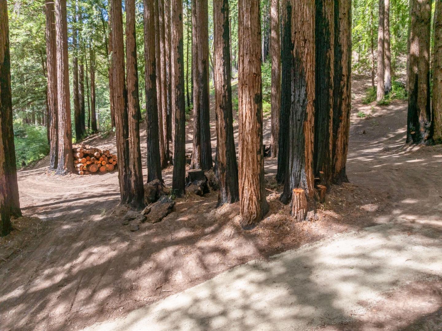 0 Band Road Boulder Creek, CA 95006 - Photo 28 of 46 a view of a backyard with trees
