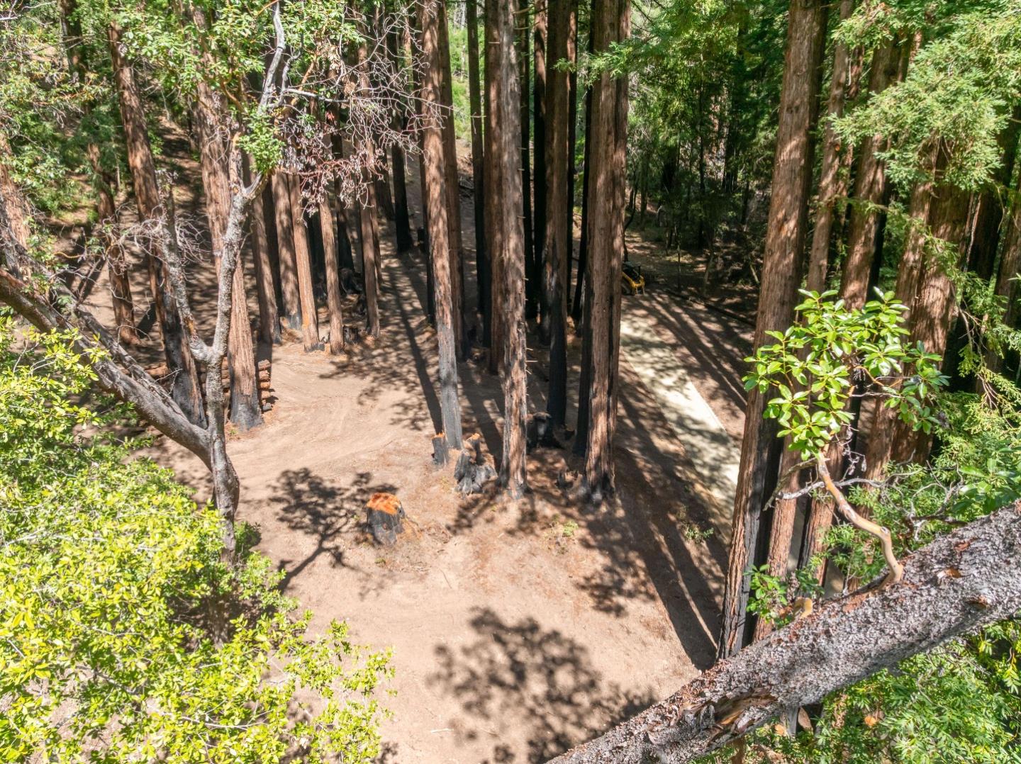0 Band Road Boulder Creek, CA 95006 - Photo 41 of 46 a view of a yard covered with trees