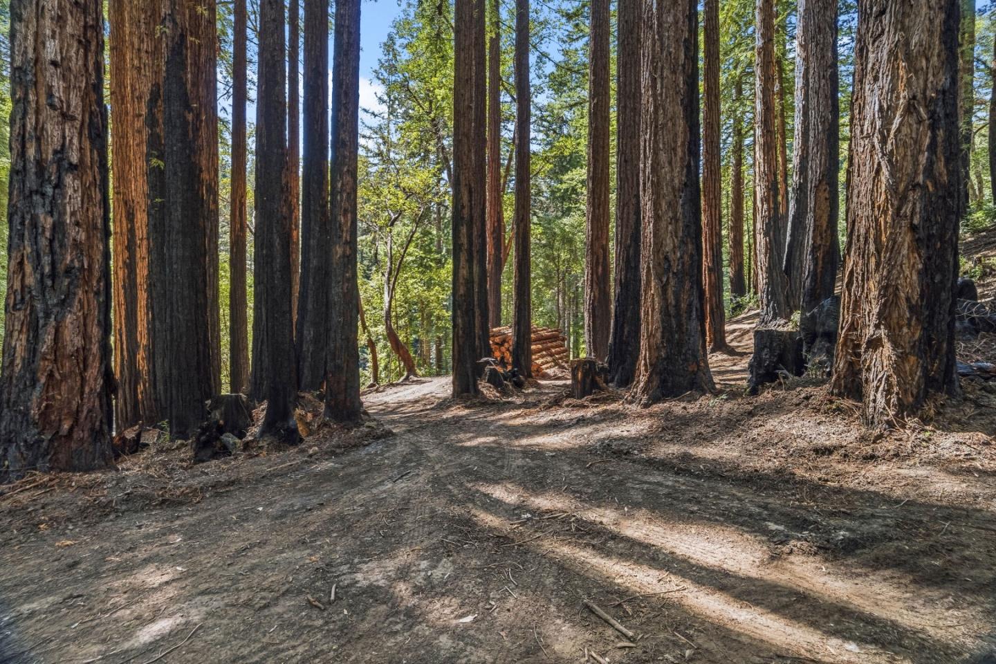 0 Band Road Boulder Creek, CA 95006 - Photo 42 of 46 a view of outdoor space and yard