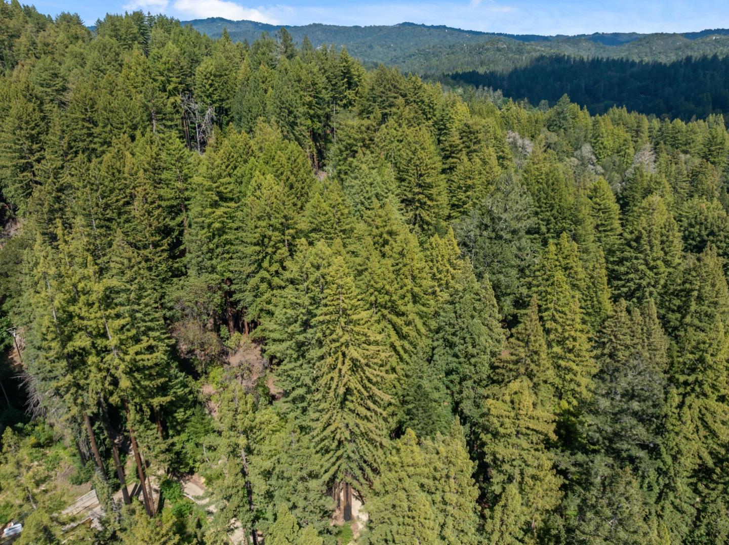 0 Band Road Boulder Creek, CA 95006 - Photo 45 of 46 a view of a lush green forest with a houses