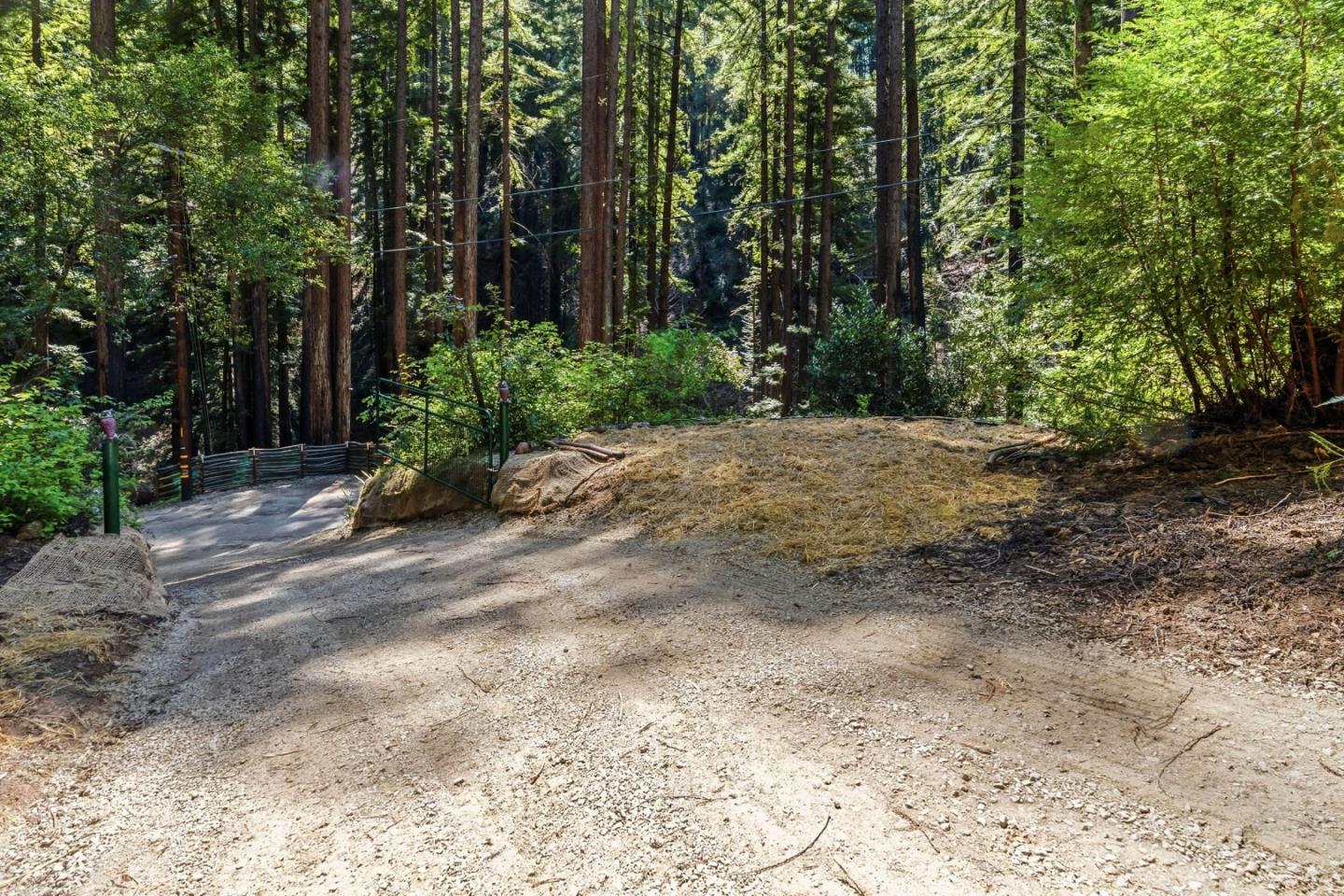 0 Band Road Boulder Creek, CA 95006 - Photo 6 of 46 a view of a yard with plants and trees