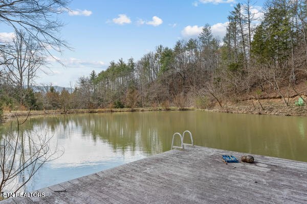 518 Old Cedar Creek Road Townsend, TN 37882 - Photo 50 of 60 518 old cedar creek 33