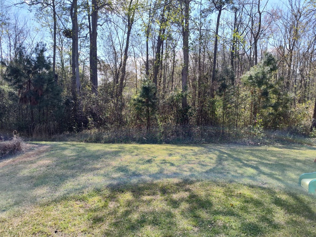 2155 Watersong Run Sumter, SC 29150 - Photo 53 of 55 Gallery Image 53