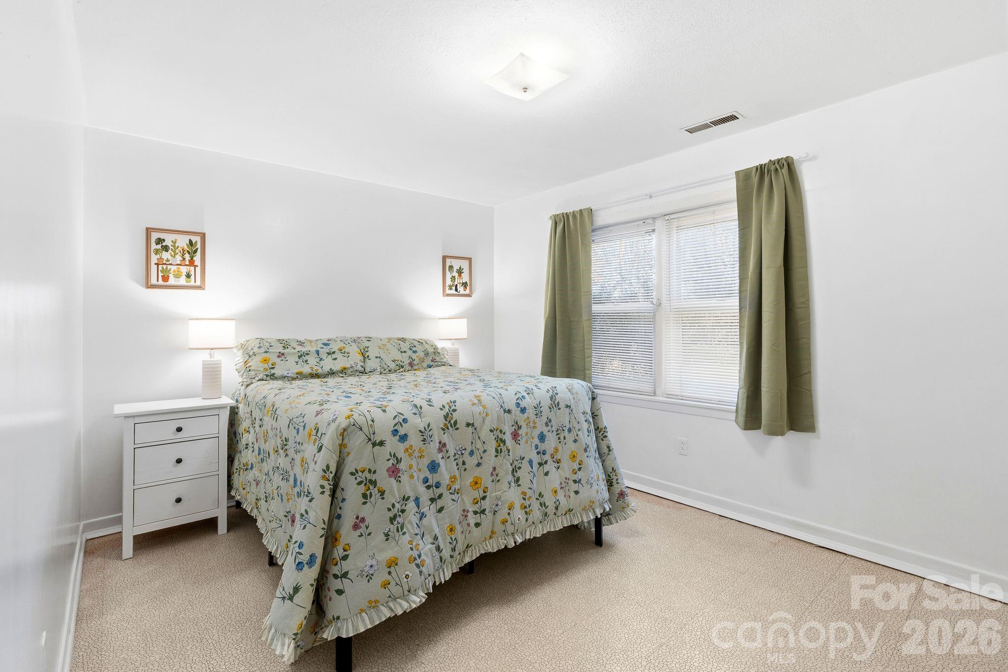 800 Mountain View Road Mars Hill, NC 28754 - Photo 13 of 23