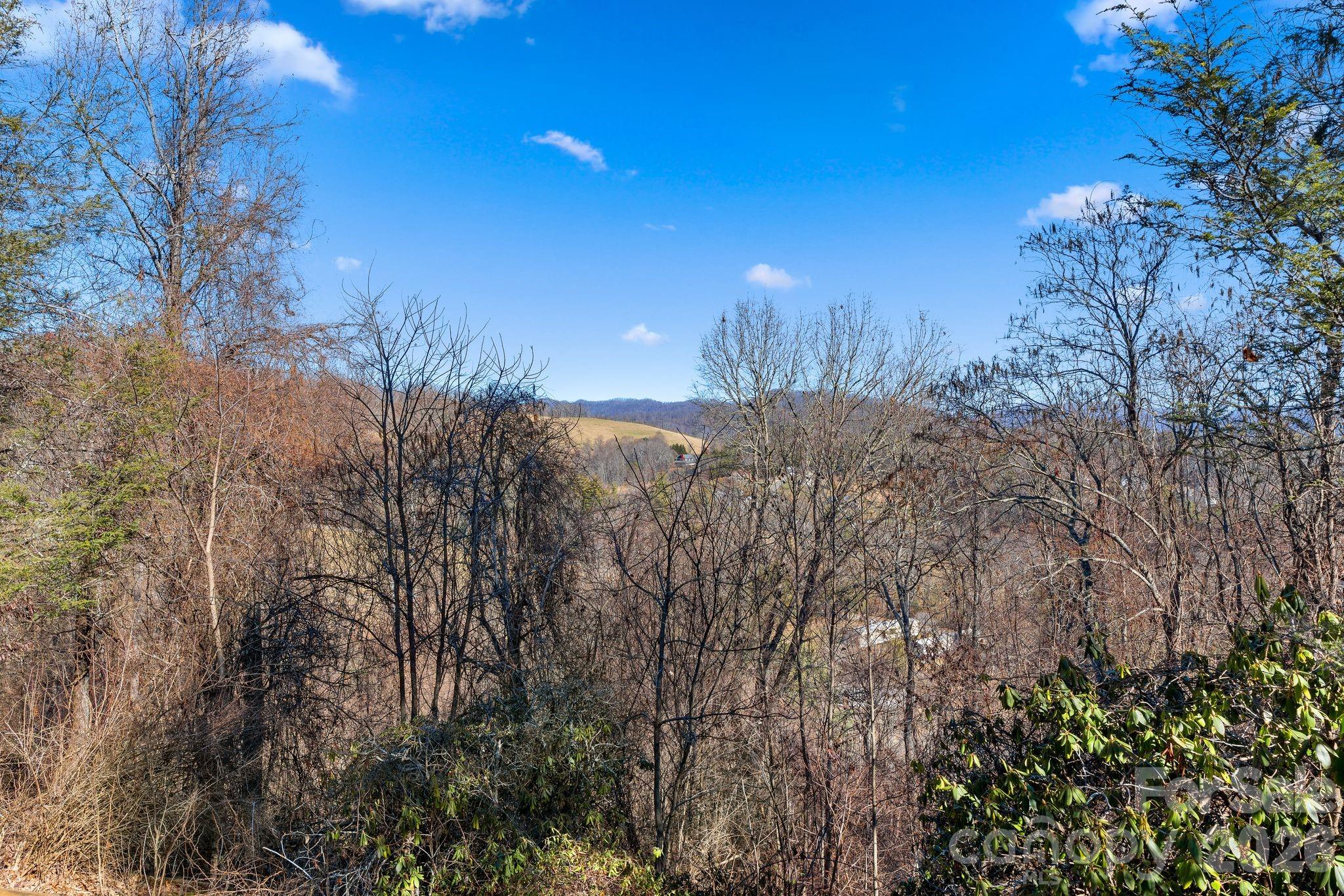 800 Mountain View Road Mars Hill, NC 28754 - Photo 16 of 23