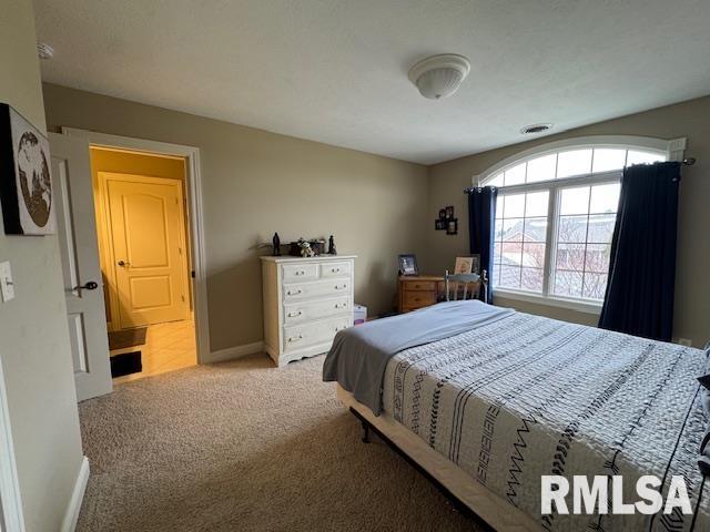 6412 Stonehaven Ridge Springfield, IL 62711 - Photo 21 of 35