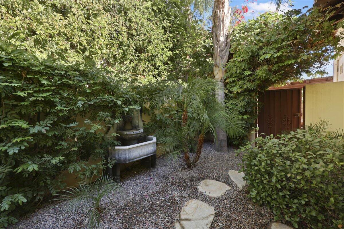 270 West Overlook Road Palm Springs, CA 92264 - Photo 30 of 44 a view of a backyard with plants and a garden