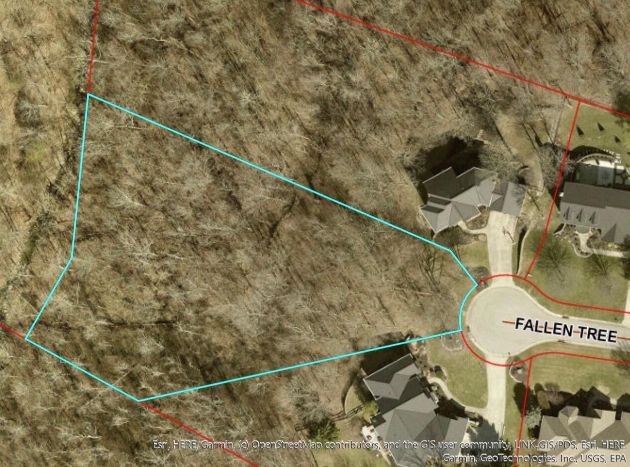 2979 Fallen Tree Court Edgewood, KY 41017 - Photo 3 of 4