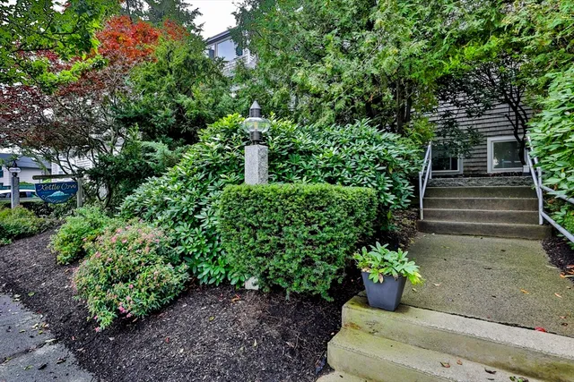 a view of a garden with plants