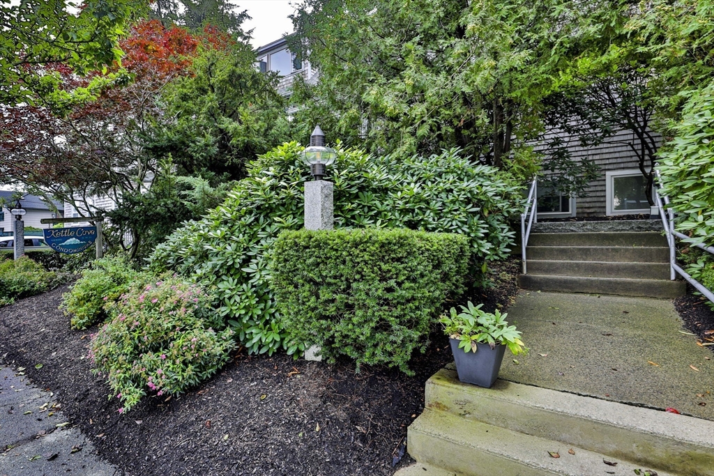 45 Raymond Street, Unit 7 Manchester, MA 01944 - Photo 39 of 40 a view of a garden with plants