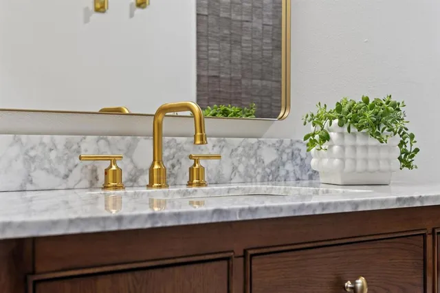 a closeup of a sink with a potted plant on it