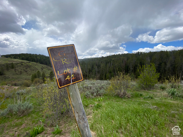41 Grouse Loop Road, Unit 41 Freedom, WY 83120 - Photo 31 of 33 Exterior view of a forest