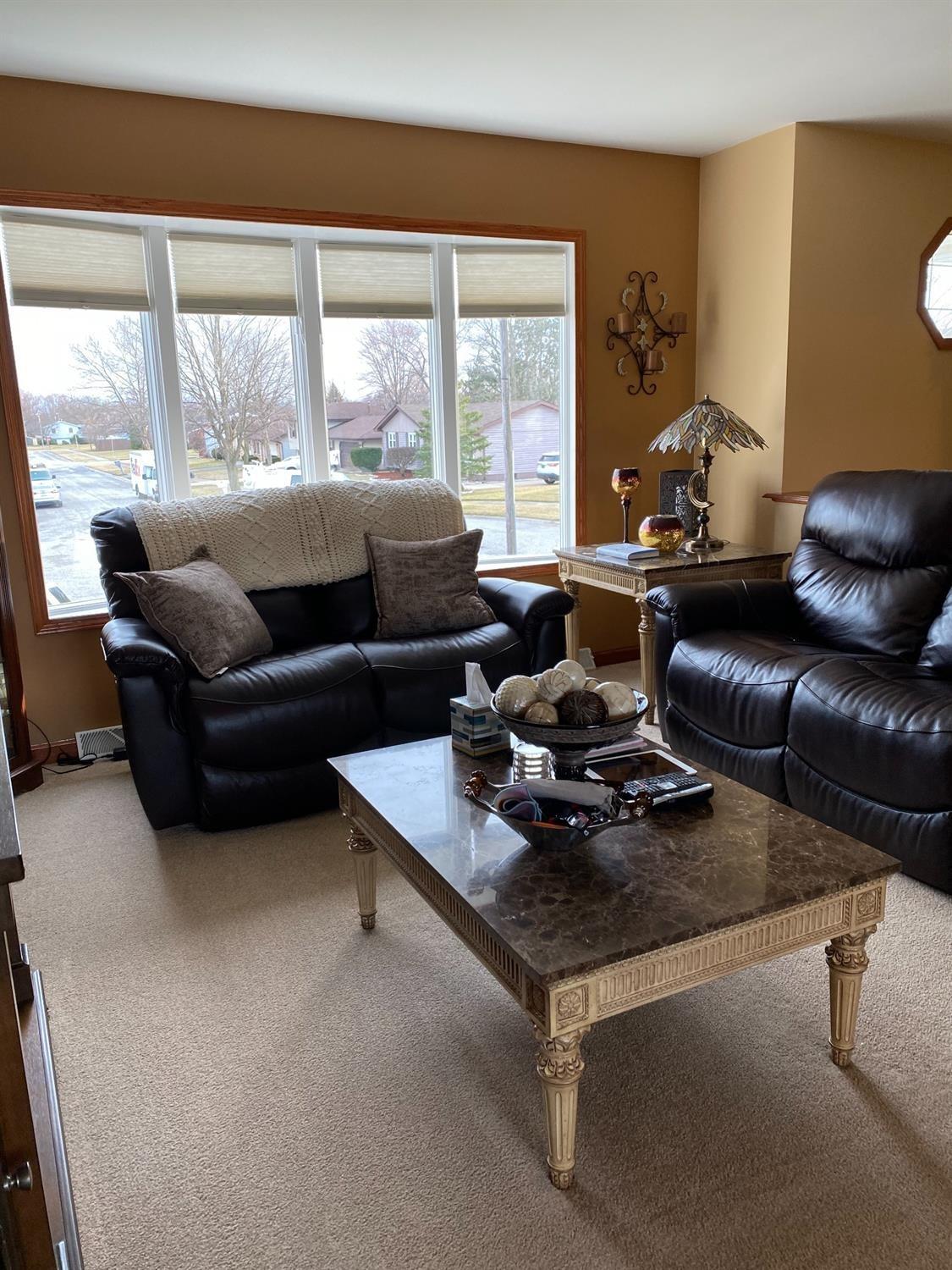 9801 Fillmore Street Crown Point, IN 46307 - Photo 5 of 23 1125x1500