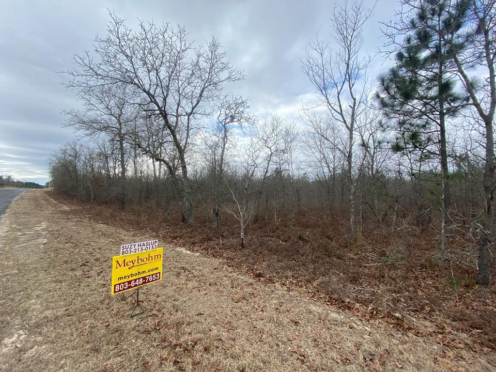 0 Beck Road Windsor, SC 29856 - Photo 3 of 3