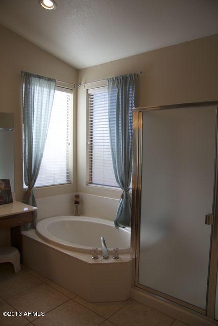 325 West Smoke Tree Road Gilbert, AZ 85233 - Photo 30 of 55 Separate Shower & Tub in Master.