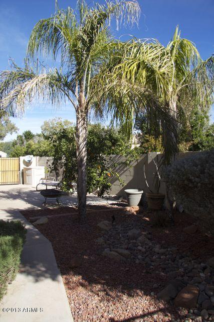 325 West Smoke Tree Road Gilbert, AZ 85233 - Photo 53 of 55 Great sized side yard