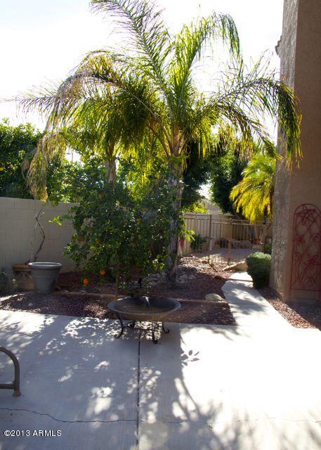 325 West Smoke Tree Road Gilbert, AZ 85233 - Photo 55 of 55 Fruit tree in side yard