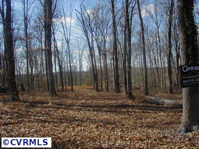 1170 Deep Run Road Cartersville, VA 23040 - Photo 2 of 3 Other