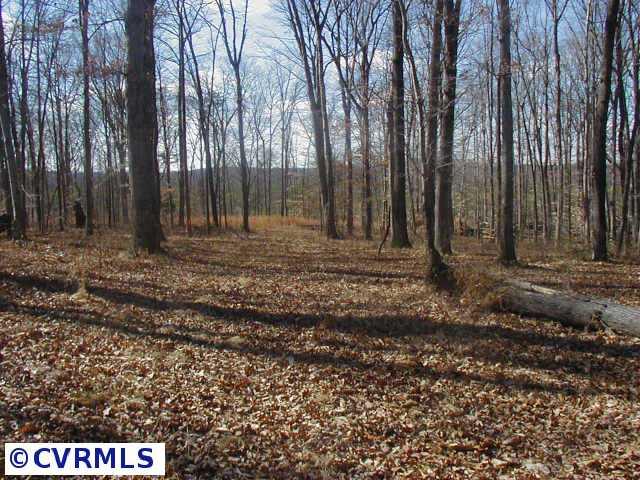 1170 Deep Run Road Cartersville, VA 23040 - Photo 3 of 3 Other