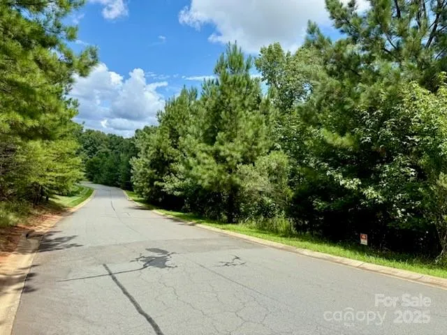 a view of a yard with plants and large trees