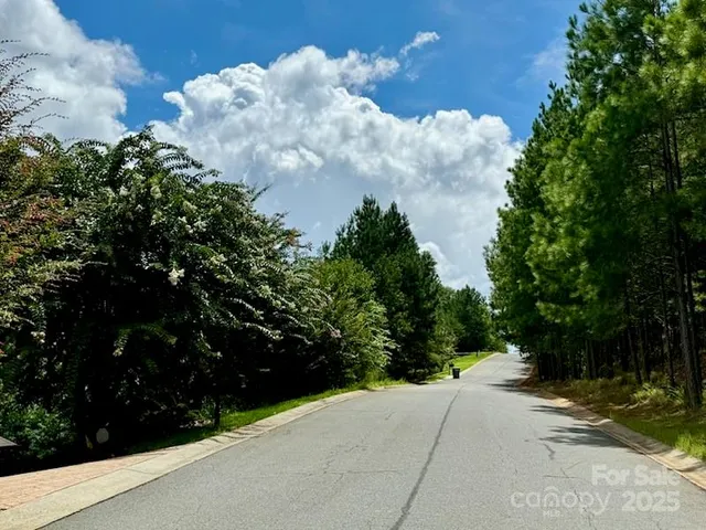 a view of a bunch of trees and bushes
