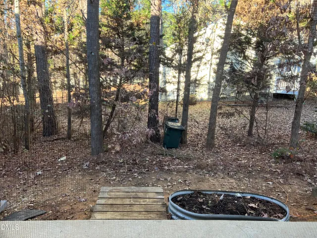a view of a backyard with plants and trees