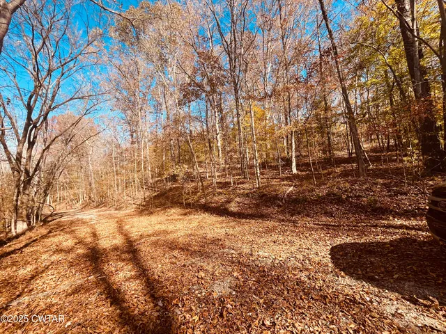 $5,500 | Lot102 Arrowhead Circle, Parsons, TN 38363