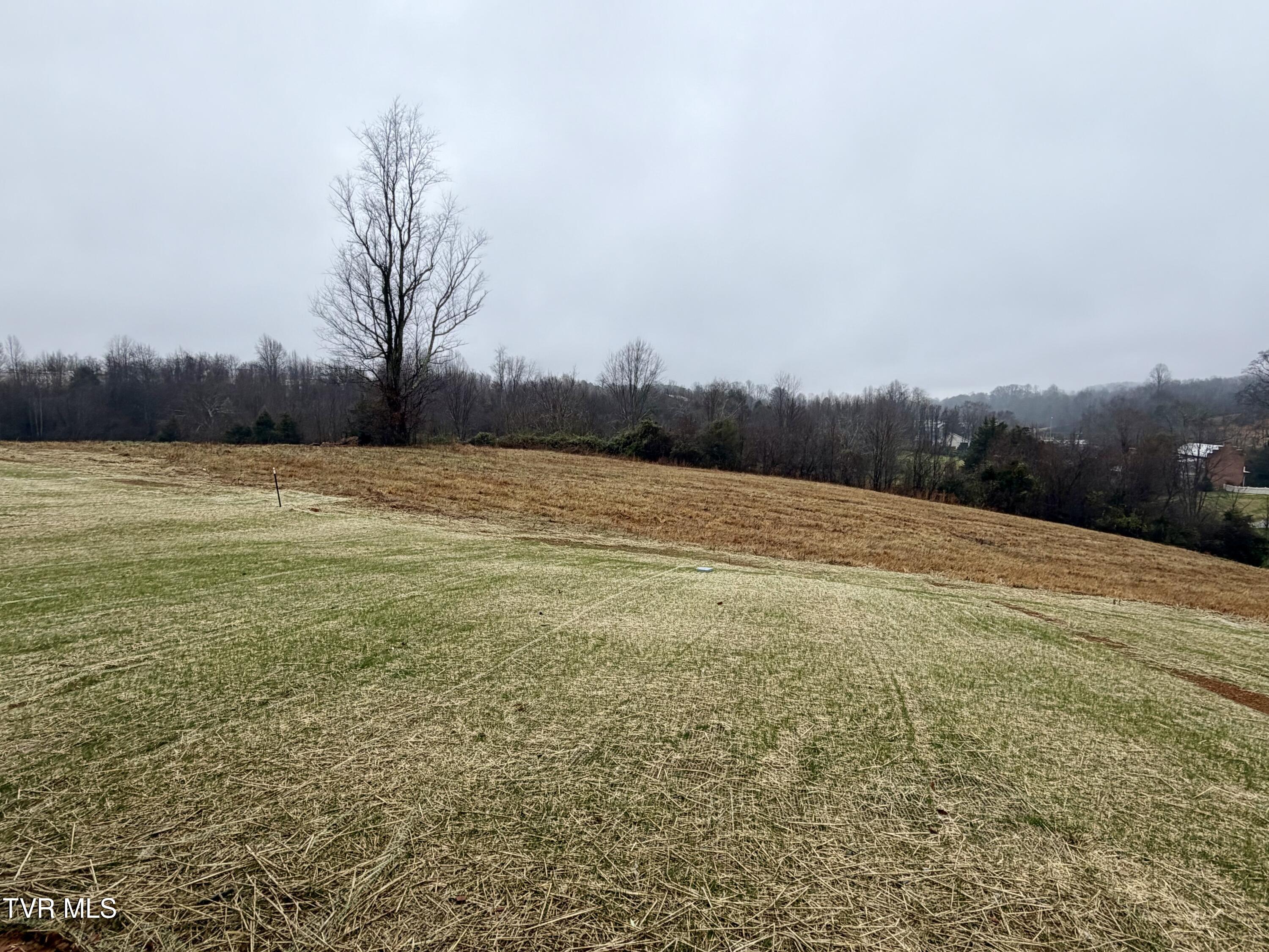 234 Ruby Rose Ridge Jonesborough, TN 37659 - Photo 27 of 28 back yard