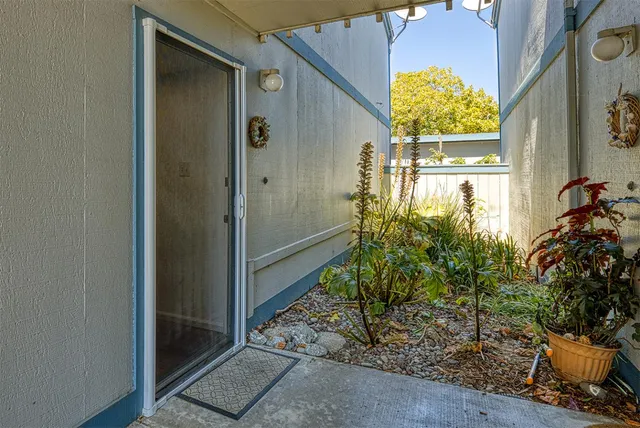 a view of a potted plants in front of a door
