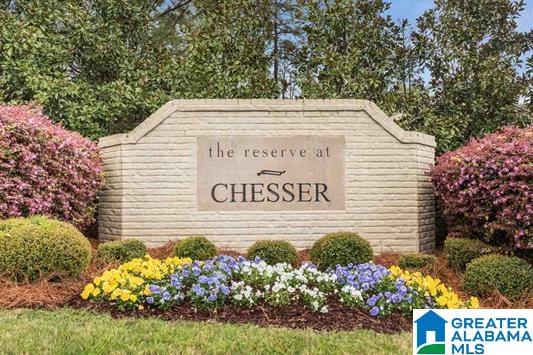 509 Chesser Reserve Way Chelsea, AL 35043 - Photo 2 of 25