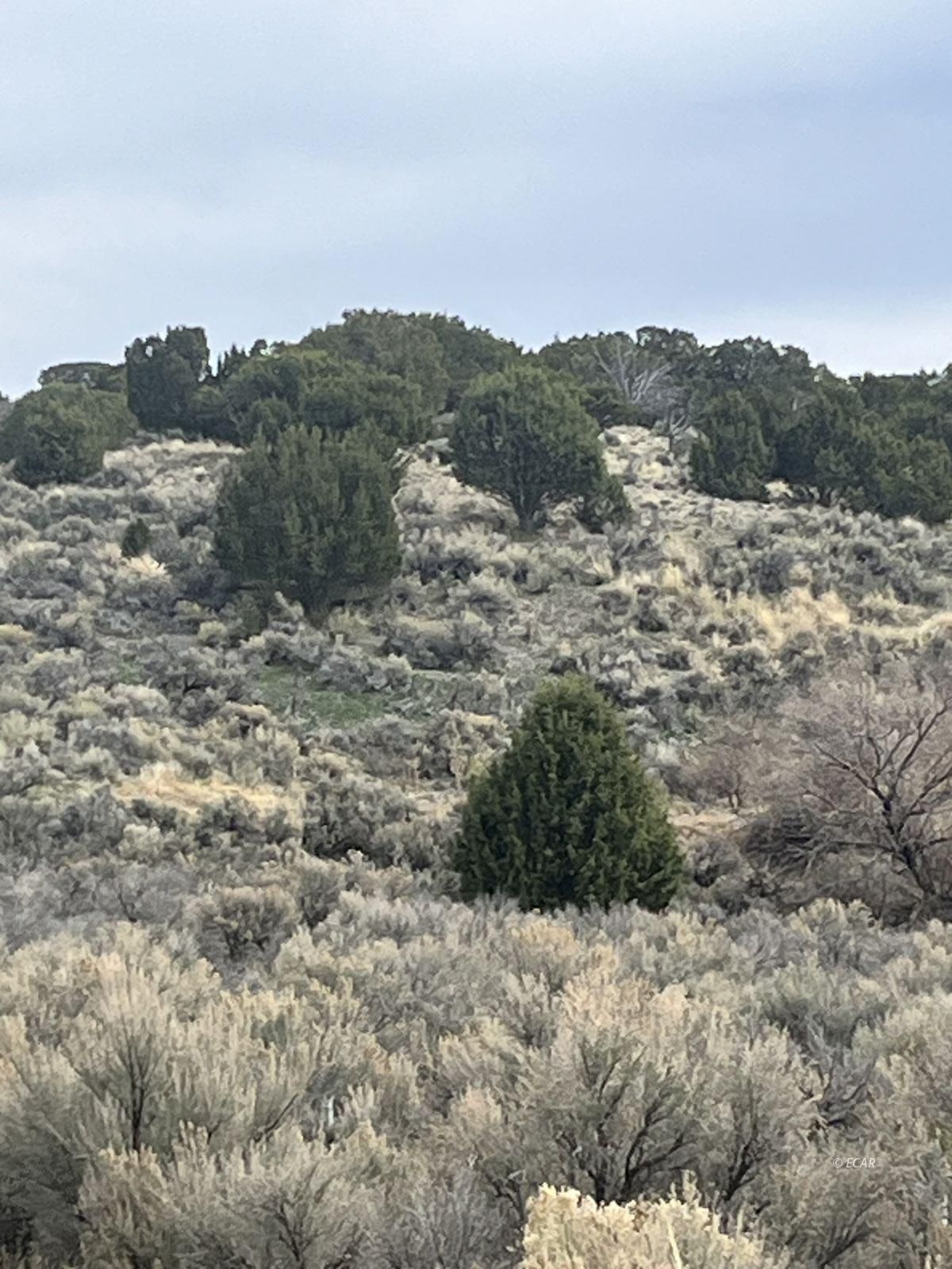 Lower Lamoille/hog Tommy Rd Spring Creek Spring Creek, NV 89815 - Photo 4 of 9