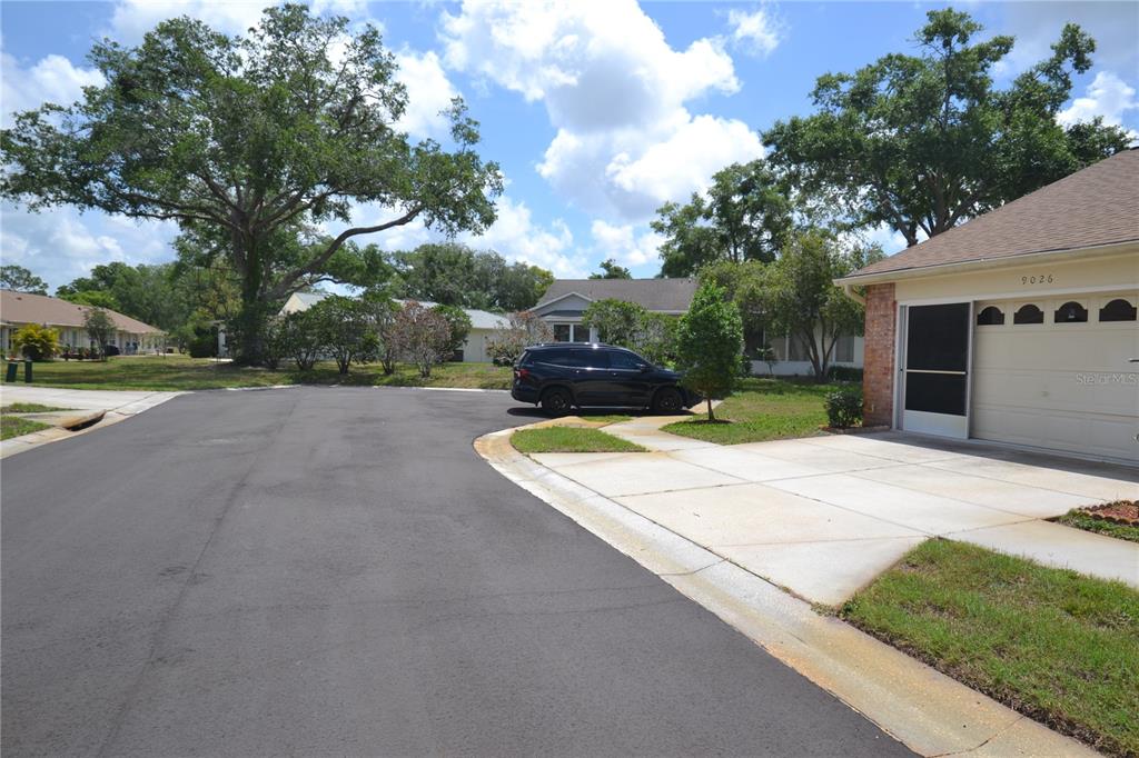 9026 Severn Lane New Port Richey, FL 34655 - Photo 44 of 62