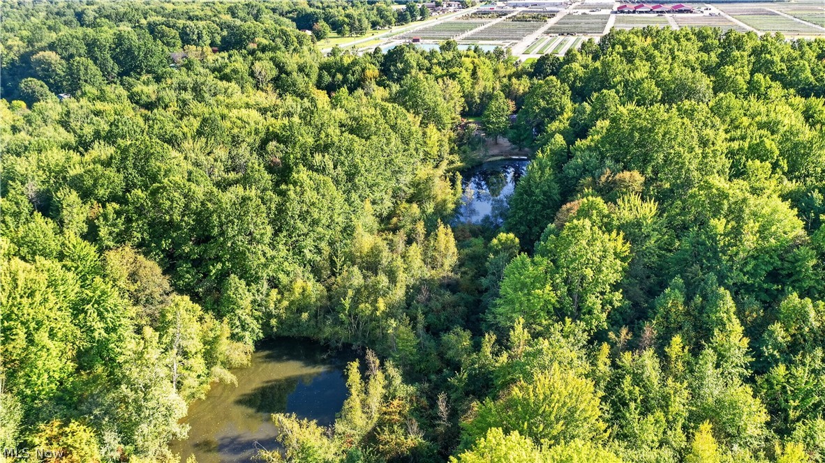 1 South County Line Road Geneva, OH 44041 - Photo 8 of 17 Gallery Image 8