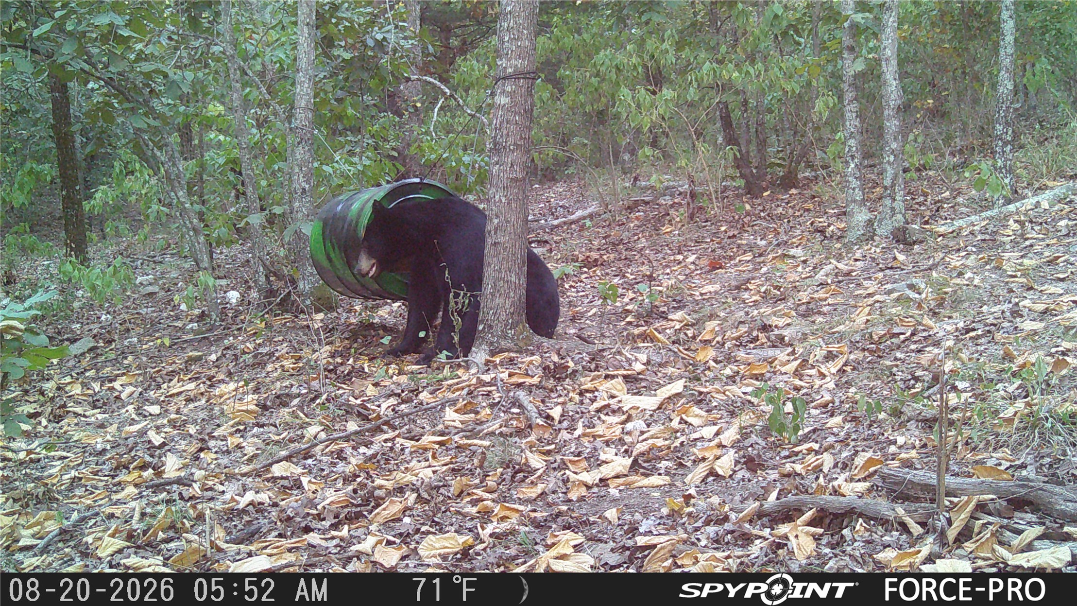 0 Rutty Pne Ridge Broken Bow, OK 74728 - Photo 19 of 22 Additional content