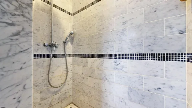 a view of a forest with trees in the background