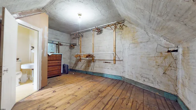 a view of a yard with plants and large trees