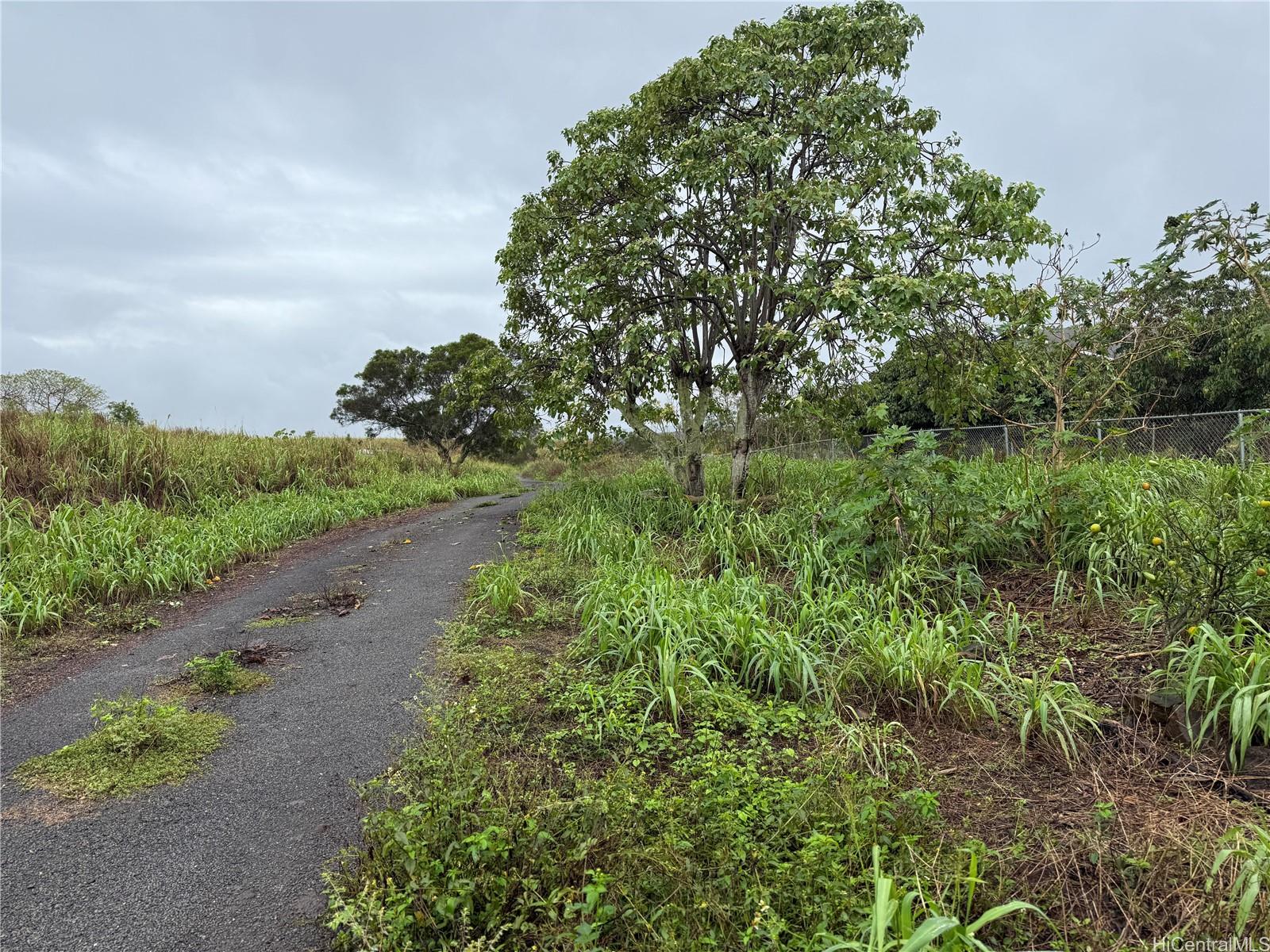 94-1100 Kunia Road, Unit 66 Waipahu, HI 96797 - Photo 3 of 9 PRIVATE ROAD