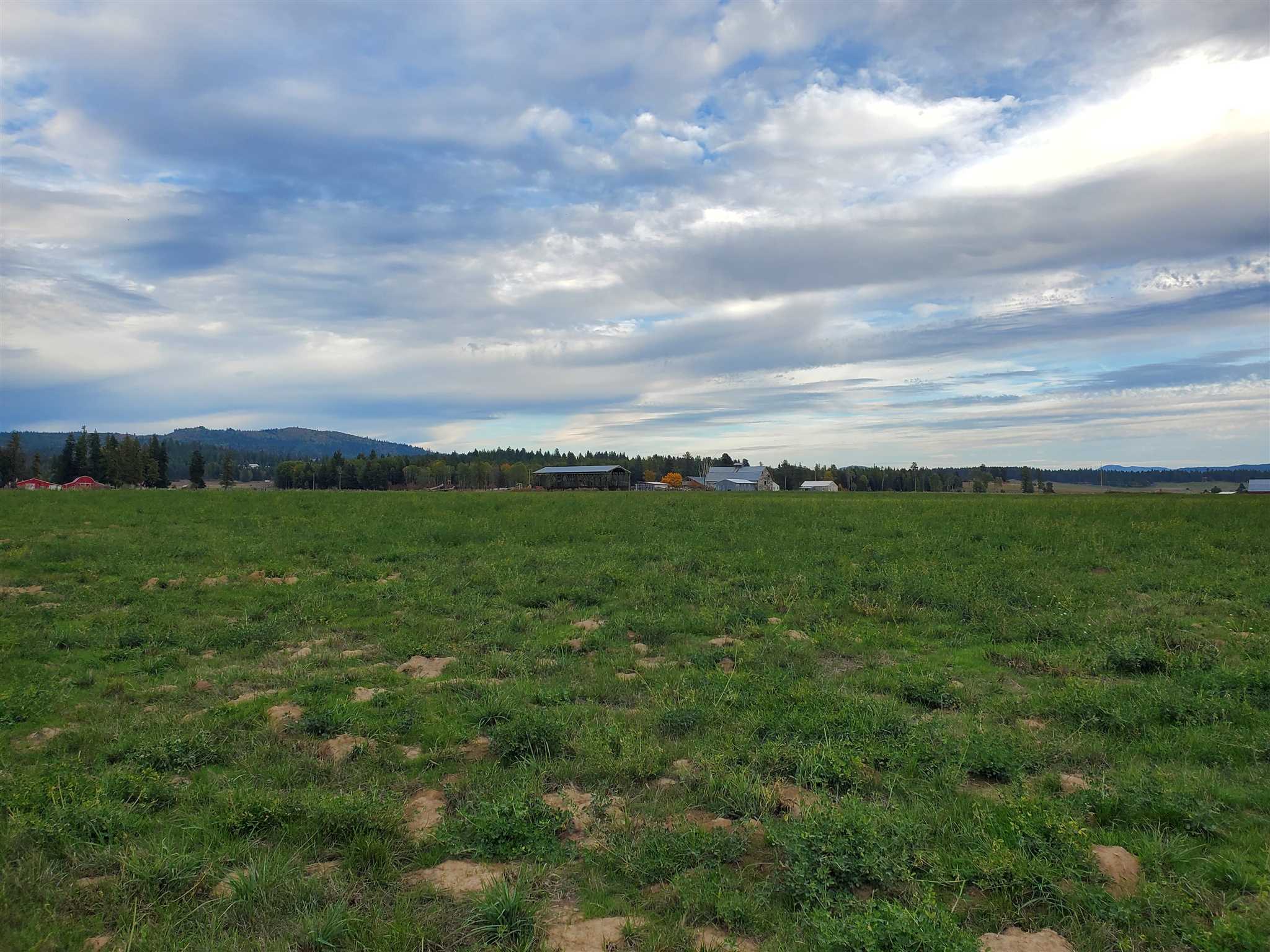 Xx North Bruce Road Elk, WA 99009 - Photo 4 of 10