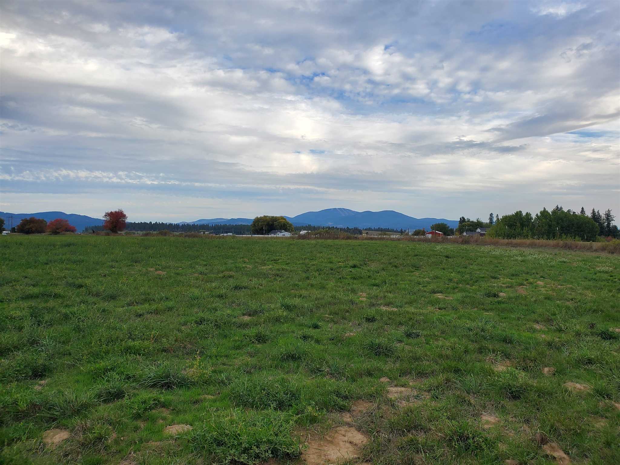 Xx North Bruce Road Elk, WA 99009 - Photo 5 of 10